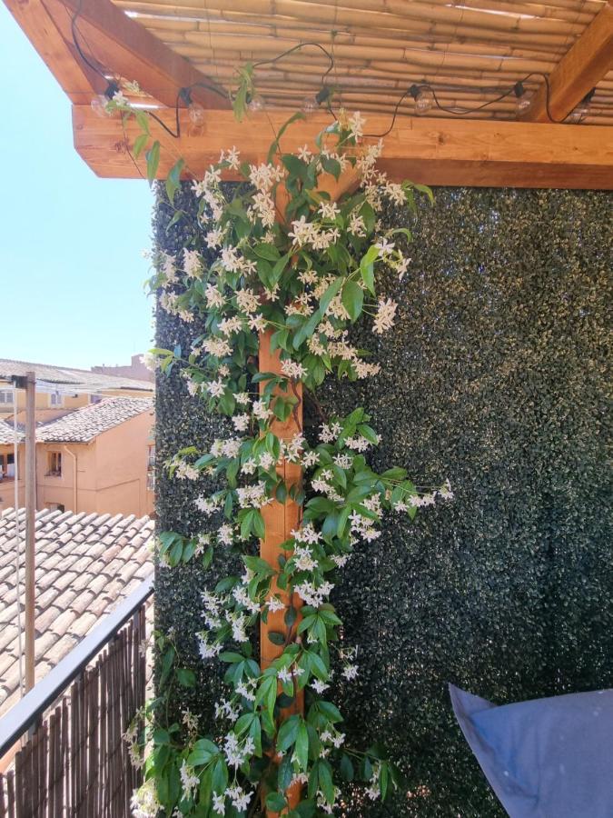 Paradise Penthouse Amazing View Appartement Rome